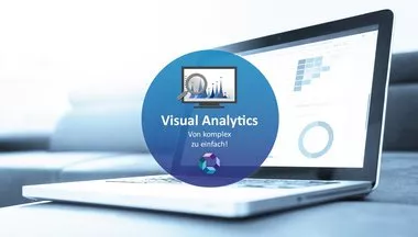 Visual Analytics